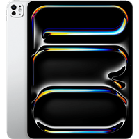 Koop 13'' iPad Pro 2TB Wifi - 195949240546